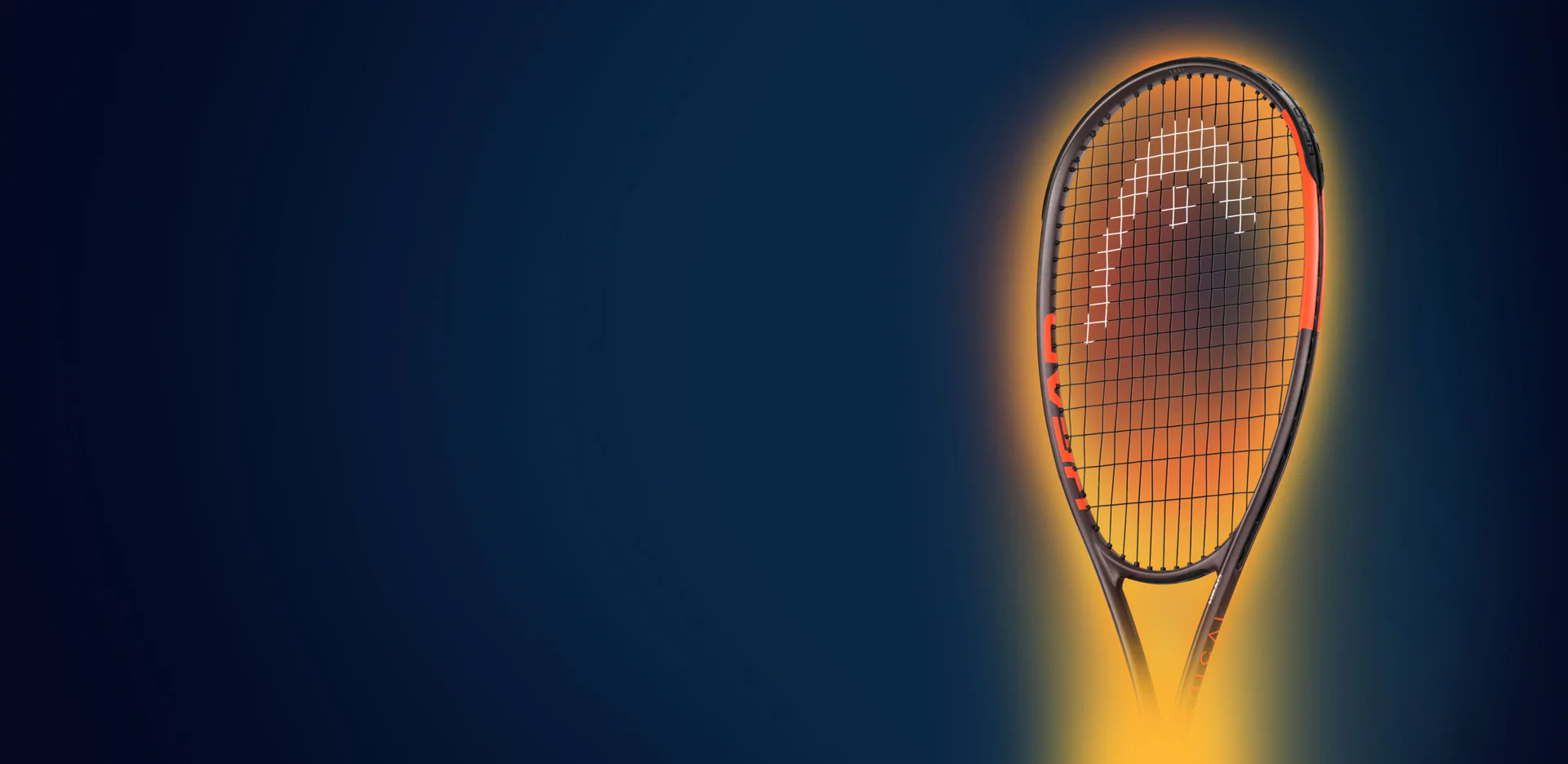 Master the Court with Experts